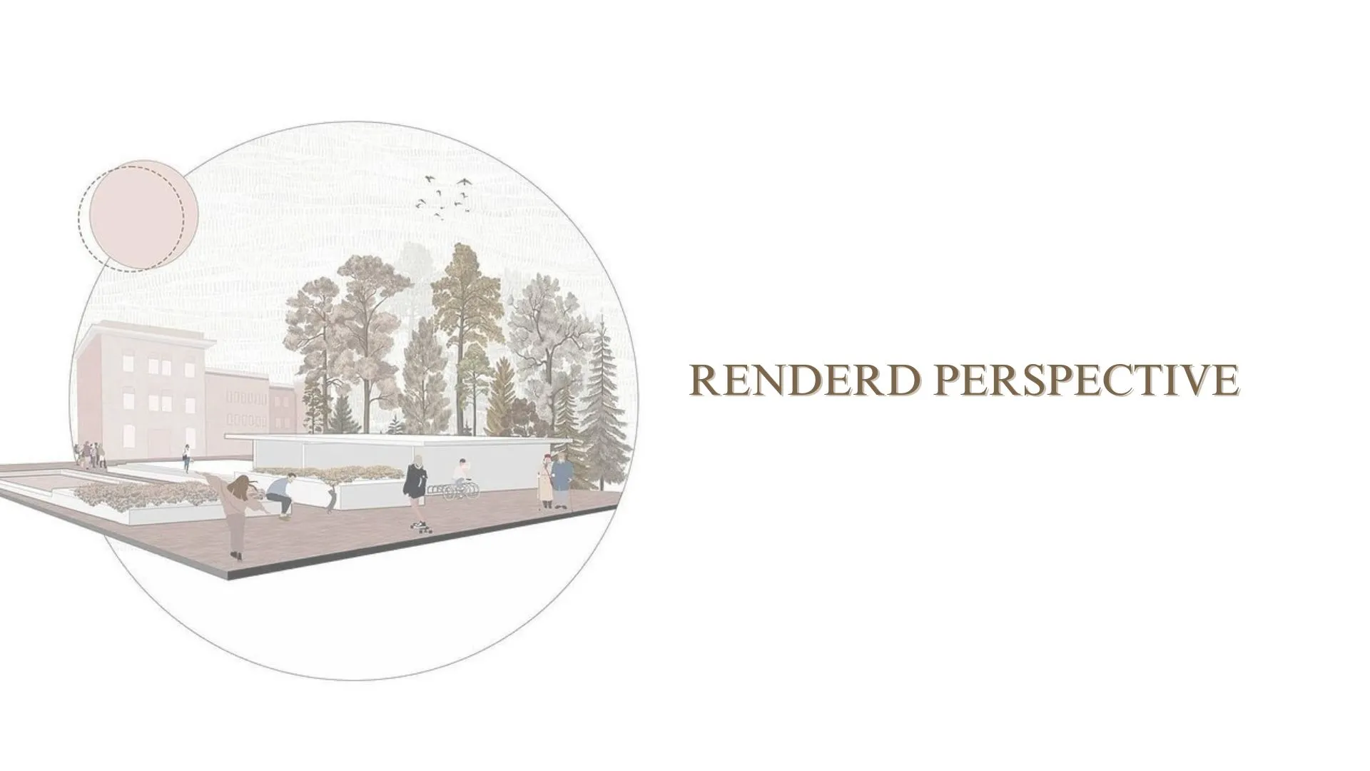 Rendered Perspectives